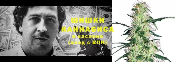 гидра Верхний Тагил