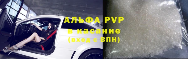 амф Бородино