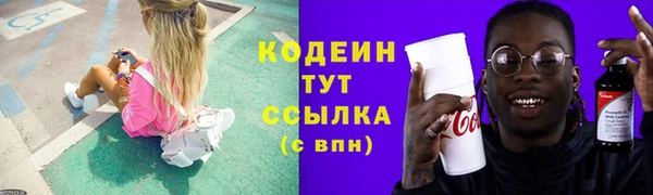 гидра Верхний Тагил