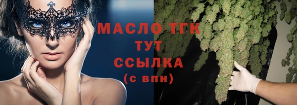 гидра Верхний Тагил