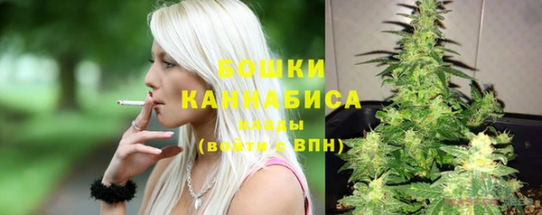 амф Бородино